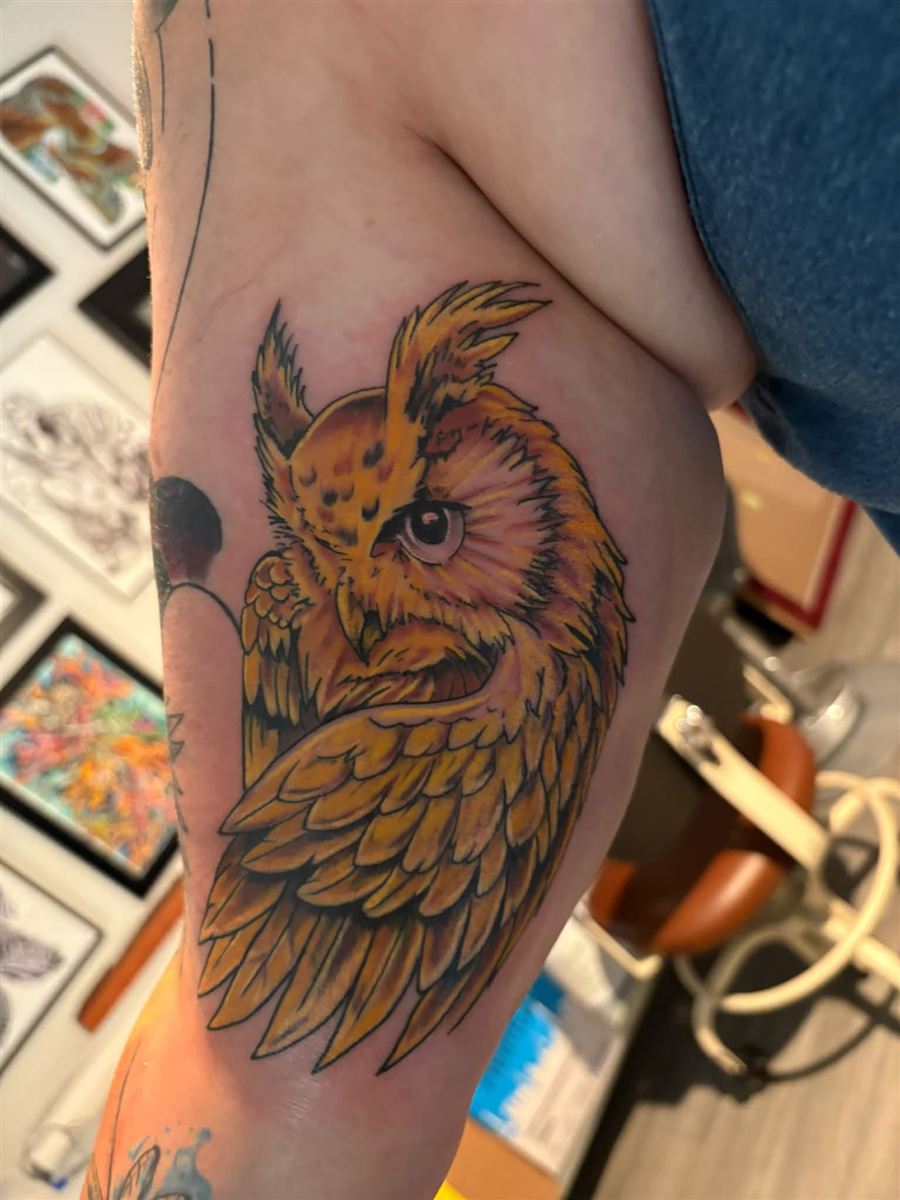 Bold color owl tattoo in gold and orange on the upper arm